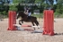 BPP_3347
