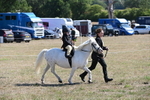 WJ6_7844