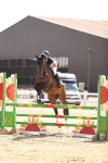 SBM_007984