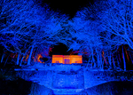 Summerhouse In Lights