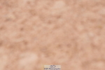 240505A-125418-05886