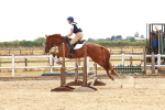 SBM_004431