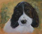 Tilly