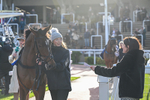 251025-Race 5-Loriko-9378