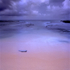 Turrimetta Dawn