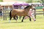 SBM_02408