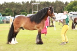 SBM_06044