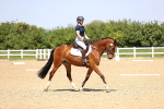 SBM_009012