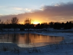 Winter peace