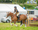 Dunblane show-352