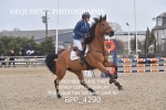 BPP_4290