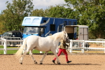 SBM_10996