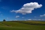 Fields near Tideswell #1