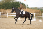 SBM_009741