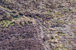 Causey Pike-10