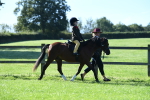 SBM_36711