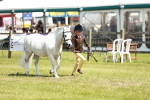 SBM_13579
