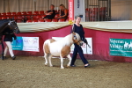 SBM_14677