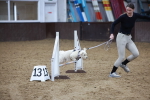 SBM_006076