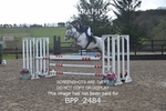 BPP_2484