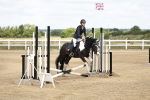 50cm showjumping portfolio