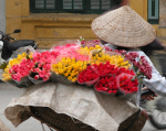 Flower Woman, Vietnam