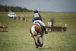 BVHT 140517  NXC -261