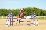 SBM_002449