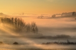 z2307 Golden Mist over Whitcombe
