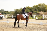 SBM_002544