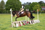 Class 3 - Minimus Pairs 50-60cm portfolio