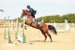 SBM_003380