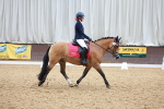 SBM_011381