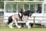SBM_17652