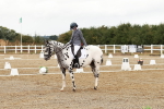 SBM_002691