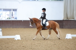 SBM_002953