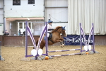 SBM_000641