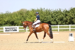 SBM_009016