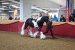SBM_14714