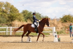 SBM_006222