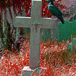 All-Hallow's Eve approaches.............