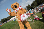 North Show 2017-123