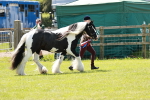 SBM_05543