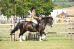 SBM_09136