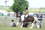 SBM_17158