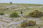 Hutton Roof-12