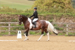 SBM_001917