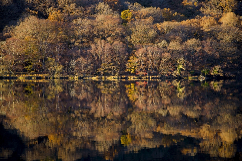 Llyndy Isaf - snowdonia