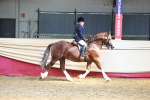 SBM_23317
