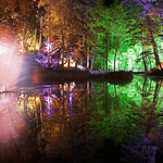 The Enchanted Forest